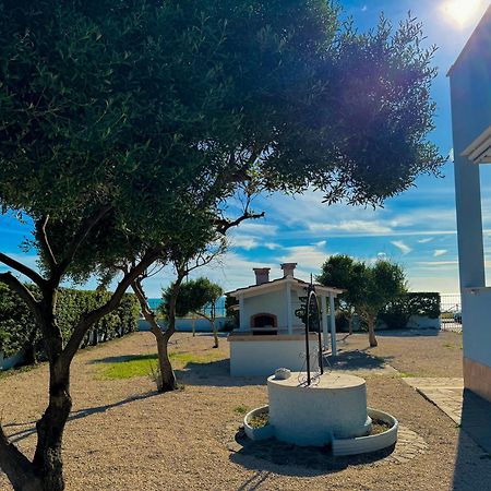 Edo House Anzio - Beachfront - Fronte Mare - Affittacamere Экстерьер фото