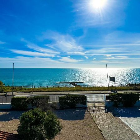 Edo House Anzio - Beachfront - Fronte Mare - Affittacamere Экстерьер фото